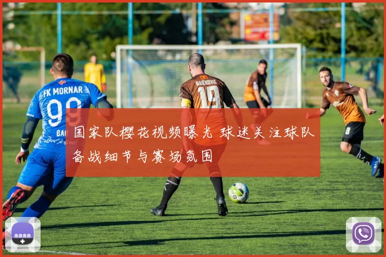 国家队樱花视频曝光 球迷关注球队备战细节与赛场氛围